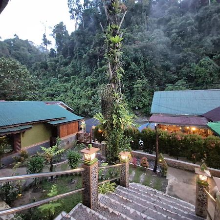 Sam'S Bungalows And Treks Bukit Lawang Exterior photo