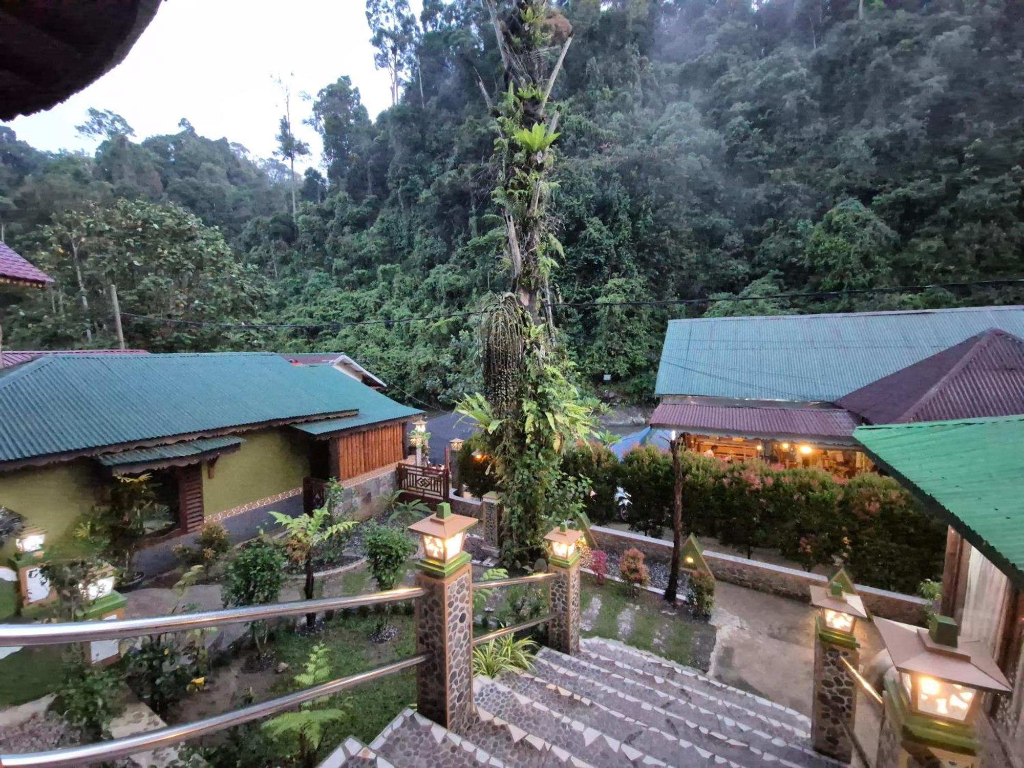 Sam'S Bungalows And Treks Bukit Lawang Exterior photo