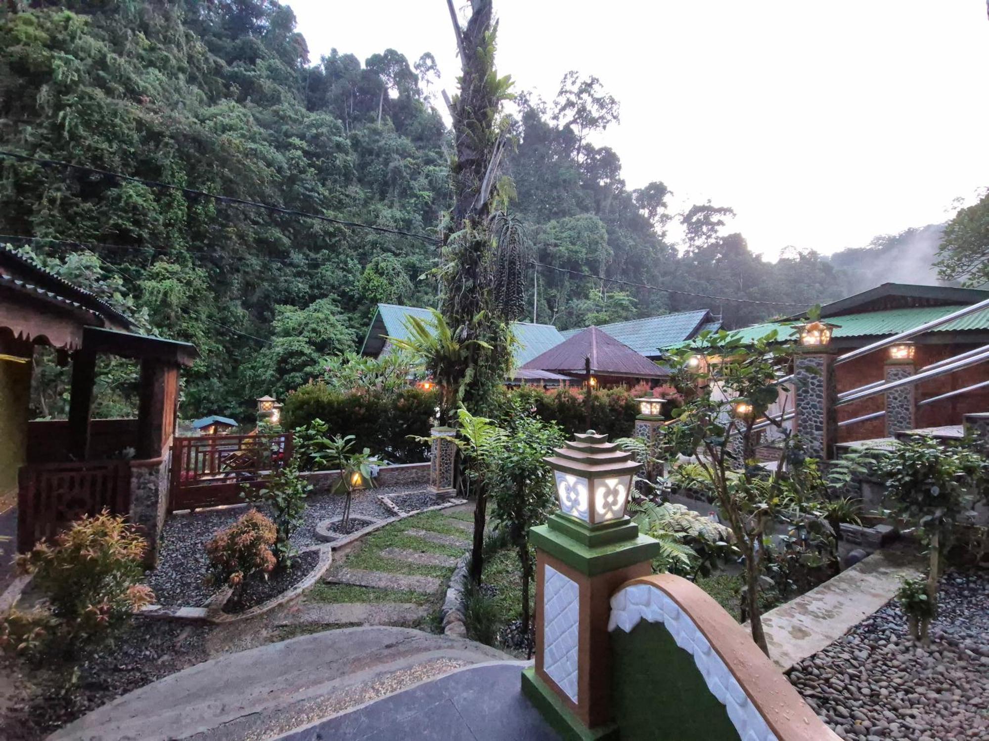Sam'S Bungalows And Treks Bukit Lawang Exterior photo